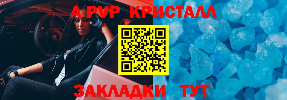 A-PVP СК Горно-Алтайск