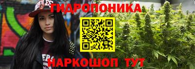 spice Кунгур