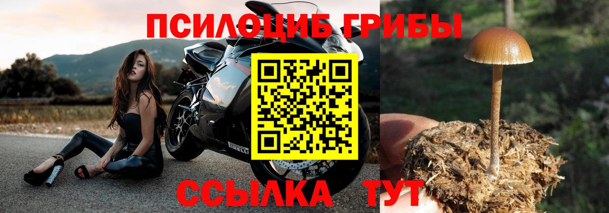Галлюциногенные грибы GOLDEN TEACHER Горно-Алтайск