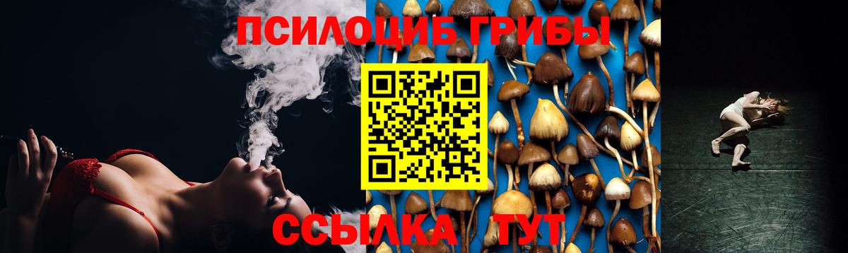 Галлюциногенные грибы Magic Shrooms  Вход с VPN  Псилоцибиновые грибы ЛСД  Горно-Алтайск 